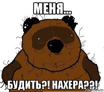 меня... будить?! нахера??!, Мем  Винни збс