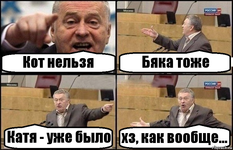 Кот нельзя Бяка тоже Катя - уже было хз, как вообще..., Комикс Жириновский