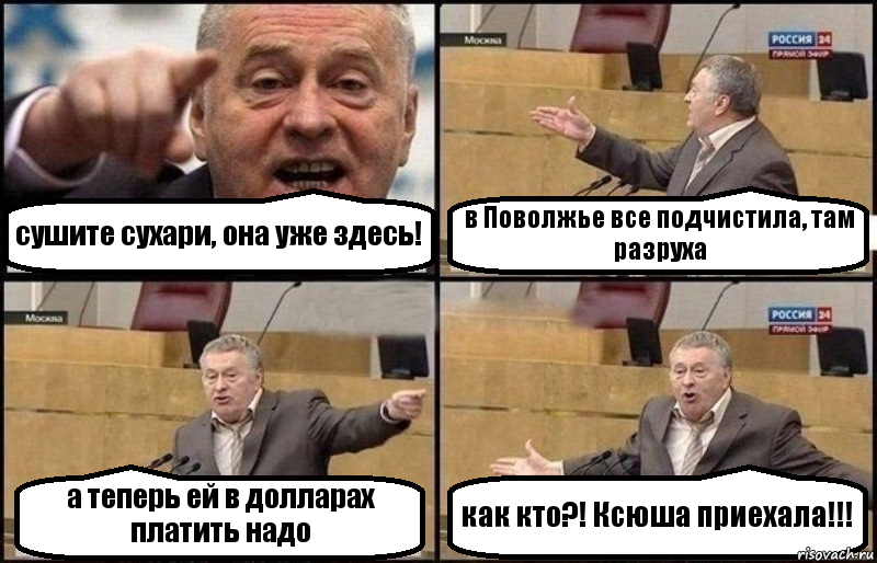 сушите сухари, она уже здесь! в Поволжье все подчистила, там разруха а теперь ей в долларах платить надо как кто?! Ксюша приехала!!!, Комикс Жириновский