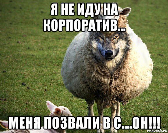 я не иду на корпоратив... меня позвали в с....он!!!, Мем Злая Овца