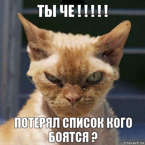 Ты че ! ! ! ! ! Потерял список кого боятся ?