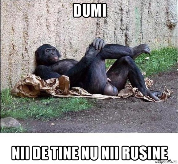 dumi nii de tine nu nii rusine