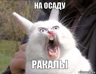 на осаду ракалы, Комикс а