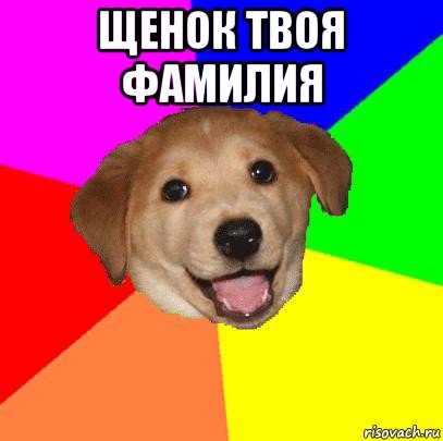 щенок твоя фамилия , Мем Advice Dog