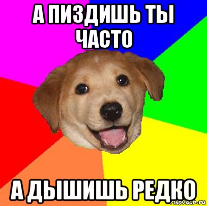 а пиздишь ты часто а дышишь редко, Мем Advice Dog