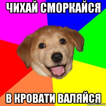 чихай сморкайся в кровати валяйся, Мем Advice Dog