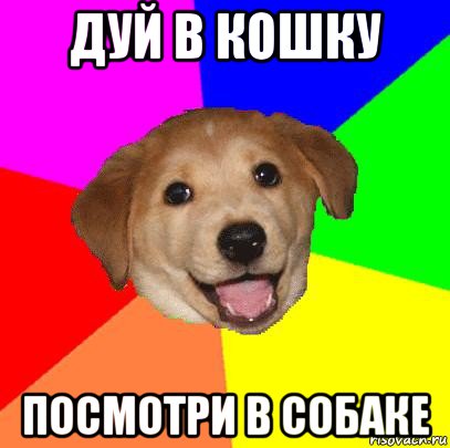 дуй в кошку посмотри в собаке, Мем Advice Dog