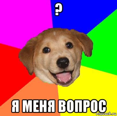 ? я меня вопрос, Мем Advice Dog