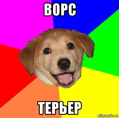 ворс терьер, Мем Advice Dog