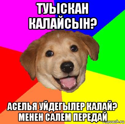 туыскан калайсын? аселья уйдегылер калай? менен салем передай, Мем Advice Dog