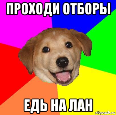 проходи отборы едь на лан, Мем Advice Dog