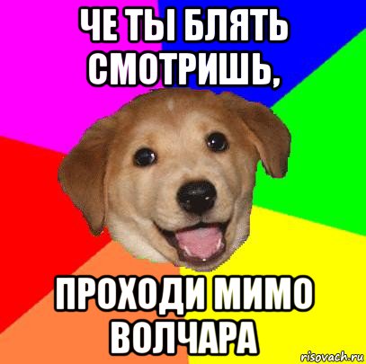 че ты блять смотришь, проходи мимо волчара, Мем Advice Dog