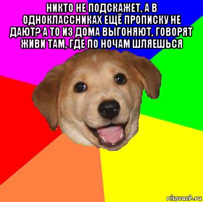 никто не подскажет, а в одноклассниках ещё прописку не дают? а то из дома выгоняют, говорят живи там, где по ночам шляешься , Мем Advice Dog