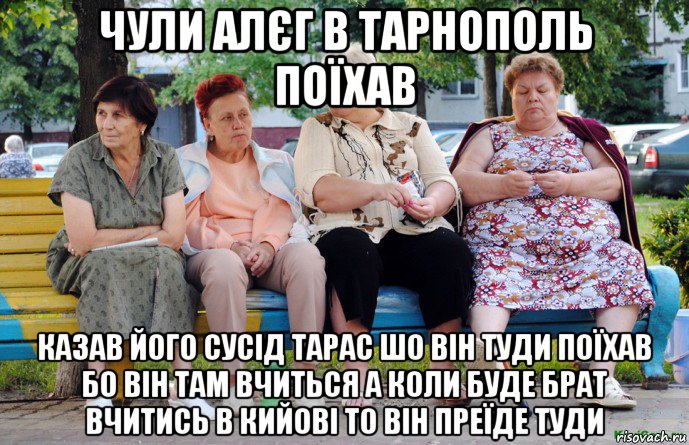 чули алєг в тарнополь поїхав казав його сусід тарас шо він туди поїхав бо він там вчиться а коли буде брат вчитись в кийові то він преїде туди, Мем Бабушки на скамейке