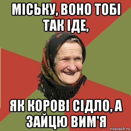 міську, воно тобі так іде, як корові сідло, а зайцю вим'я, Мем  Бабушка