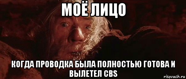 моё лицо когда проводка была полностью готова и вылетел cbs, Мем бегите глупцы