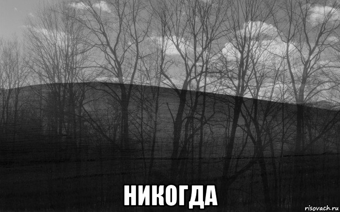  никогда