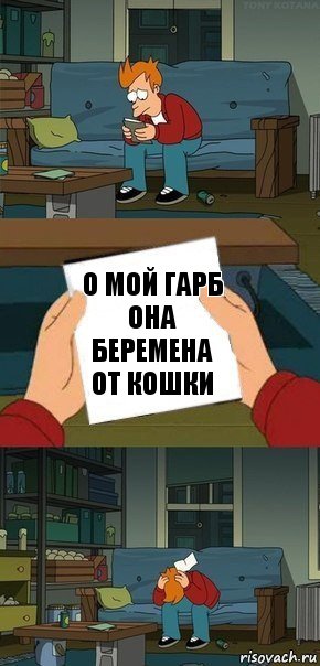 о мой гарб она беремена от кошки, Комикс  Фрай с запиской