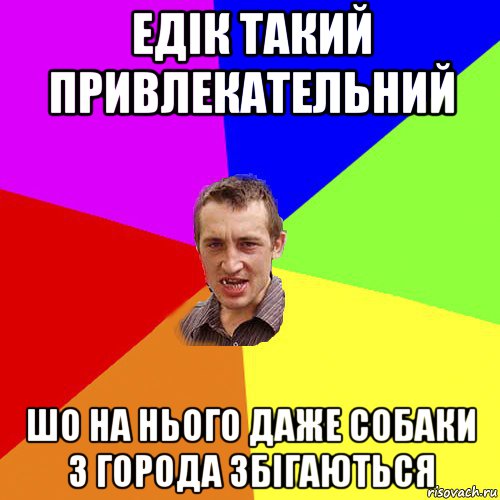 едік такий привлекательний шо на нього даже собаки з города збігаються, Мем Чоткий паца