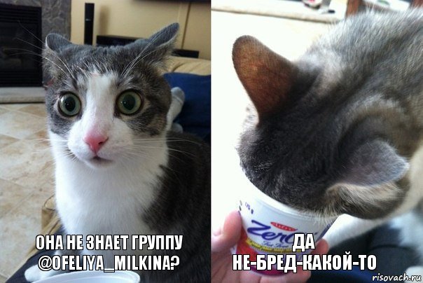 Она не знает группу @ofeliya_milkina? Да не-бред-какой-то, Комикс  Да не бред-какой-то (2 зоны)