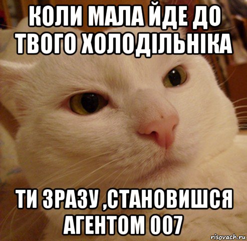 коли мала йде до твого холодільніка ти зразу ,становишся агентом 007, Мем Дерзкий котэ