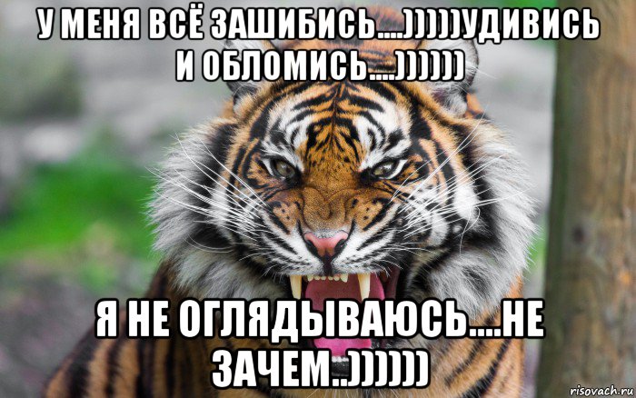 у меня всё зашибись....)))))удивись и обломись....)))))) я не оглядываюсь....не зачем..)))))), Мем ДЕРЗКИЙ ТИГР