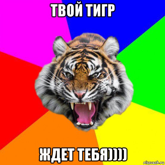 твой тигр ждет тебя)))), Мем  ДЕРЗКИЙ ТИГР