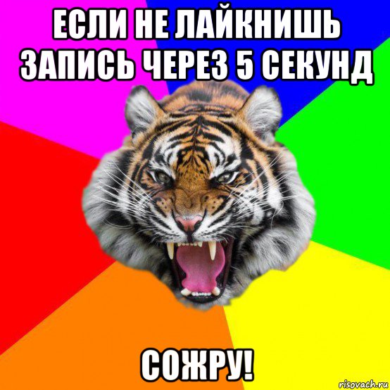 если не лайкнишь запись через 5 секунд сожру!, Мем  ДЕРЗКИЙ ТИГР