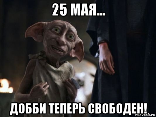 25 мая... добби теперь свободен!, Мем   Добби