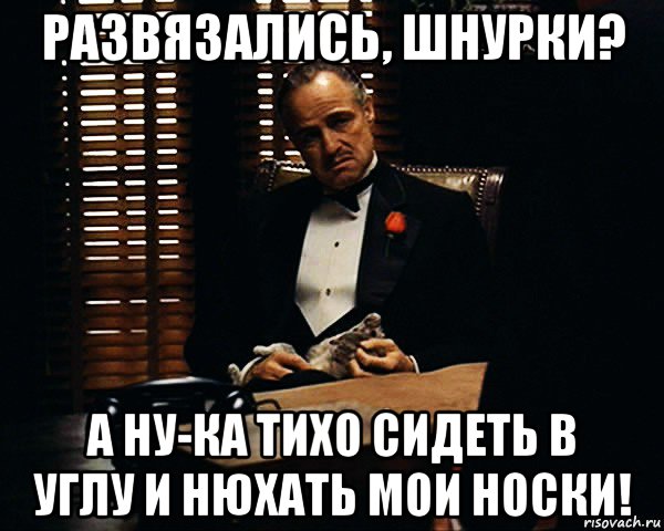 развязались, шнурки? а ну-ка тихо сидеть в углу и нюхать мои носки!, Мем Дон Вито Корлеоне