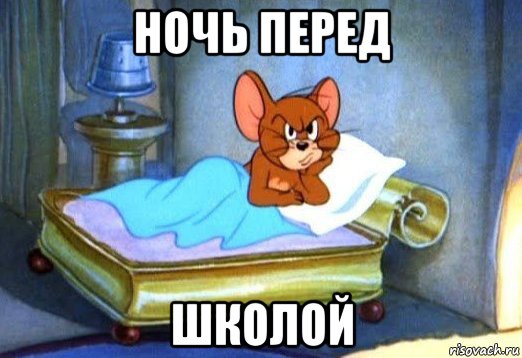 ночь перед школой