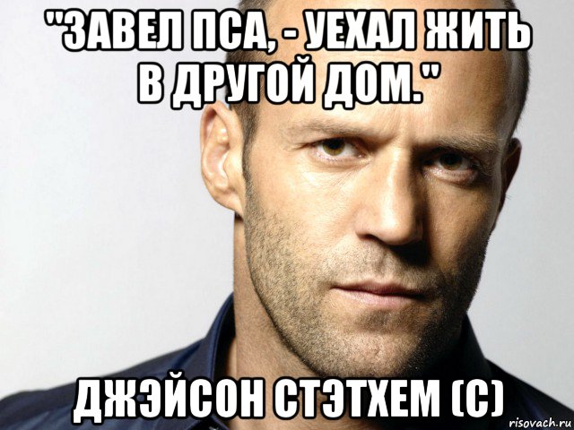 "завел пса, - уехал жить в другой дом." джэйсон стэтхем (с), Мем Джейсон Стэтхэм