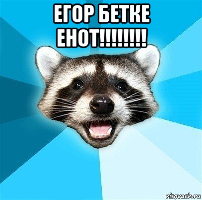 егор бетке енот!!!!!!!! , Мем Енот-Каламбурист