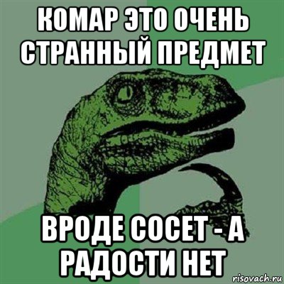 комар это очень странный предмет вроде сосет - а радости нет, Мем Филосораптор