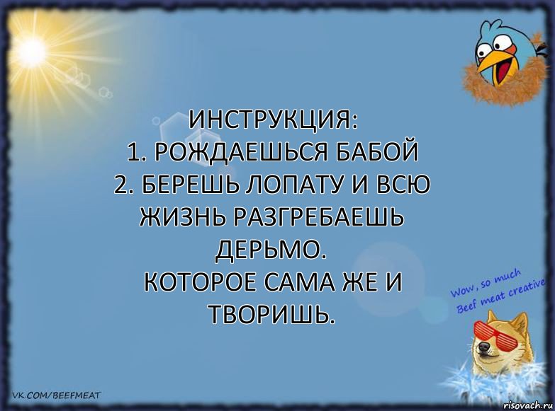 инструкция:
1. рождаешься бабой
2. берешь лопату и всю жизнь разгребаешь дерьмо.
которое сама же и творишь., Комикс ФОН