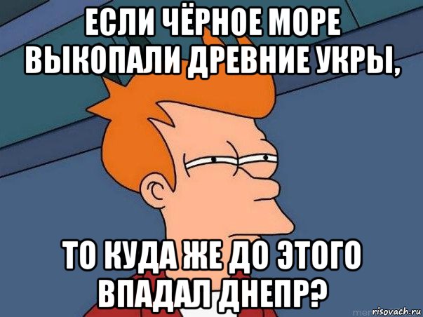 если чёрное море выкопали древние укры, то куда же до этого впадал днепр?, Мем  Фрай (мне кажется или)