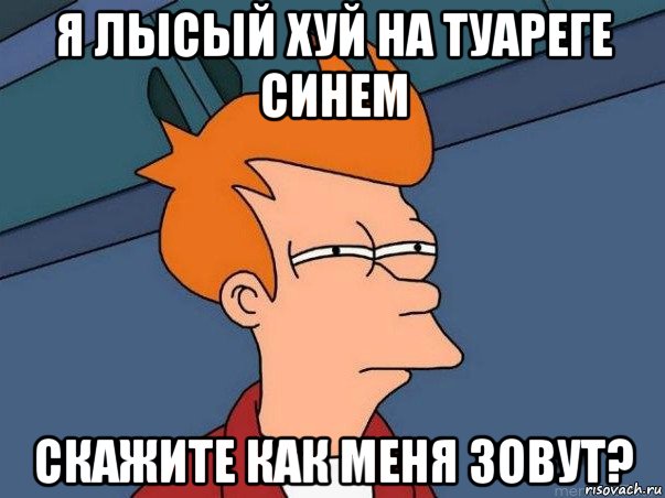 я лысый хуй на туареге синем скажите как меня зовут?, Мем  Фрай (мне кажется или)