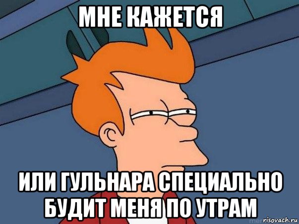 мне кажется или гульнара специально будит меня по утрам, Мем  Фрай (мне кажется или)