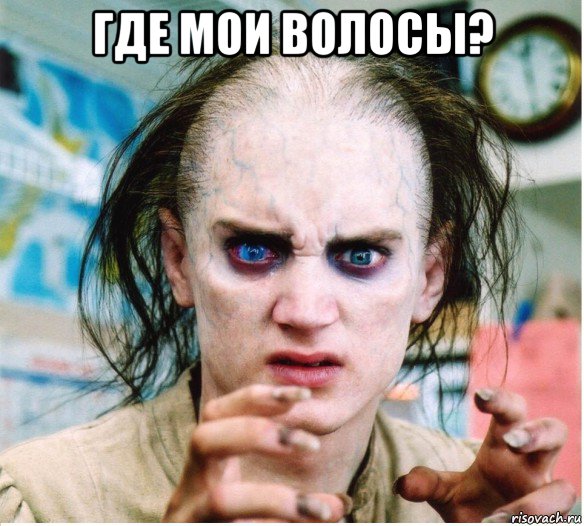 где мои волосы? , Мем фродум