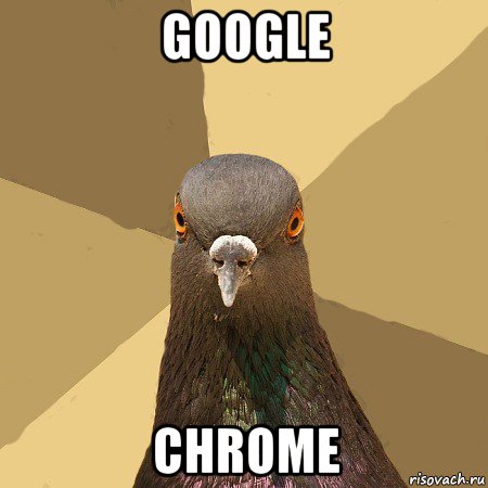 google chrome, Мем голубь