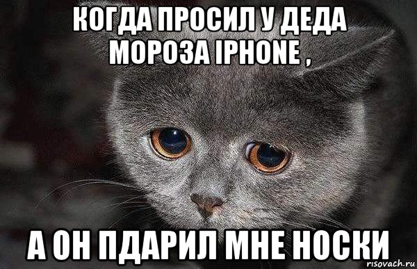 когда просил у деда мороза iphone , а он пдарил мне носки, Мем  Грустный кот