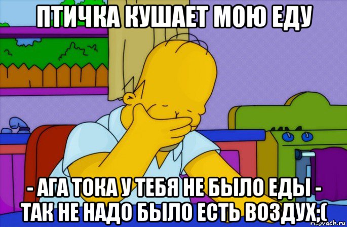 птичка кушает мою еду - ага тока у тебя не было еды - так не надо было есть воздух;(, Мем Homer simpson facepalm