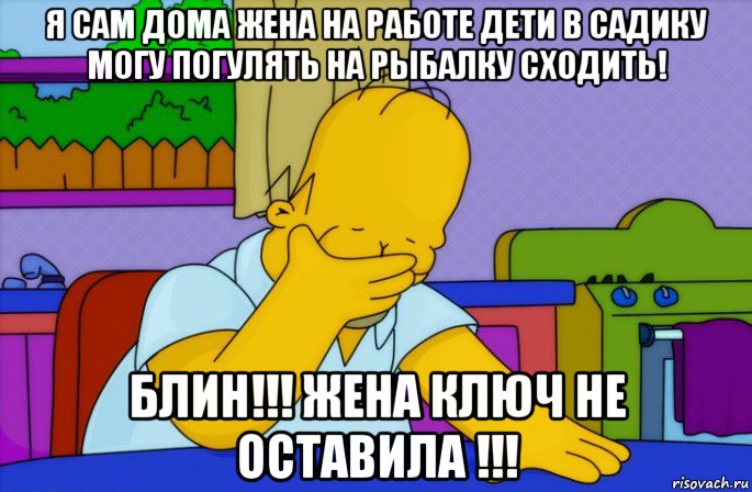 я сам дома жена на работе дети в садику могу погулять на рыбалку сходить! блин!!! жена ключ не оставила !!!, Мем Homer simpson facepalm