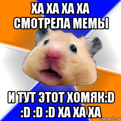 ха ха ха ха смотрела мемы и тут этот хомяк:d :d :d :d ха ха ха, Мем Хомяк