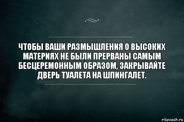 Чтобы ваши размышления о высоких материях не были прерваны самым бесцеремонным образом, закрывайте дверь туалета на шпингалет., Комикс Игра Слов