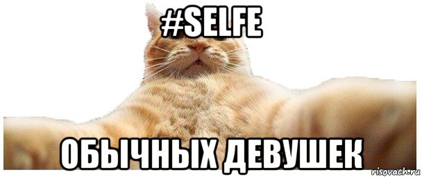 #selfe обычных девушек, Мем   Кэтсвилл