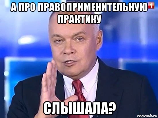 а про правоприменительную практику слышала?, Мем Киселёв 2014