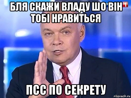 бля скажи владу шо він тобі нравиться псс по секрету, Мем Киселёв 2014