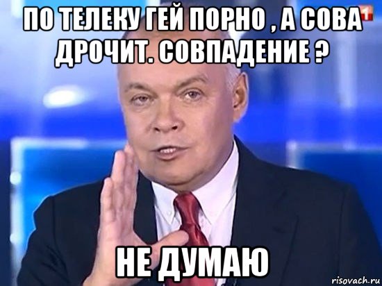 по телеку гей порно , а сова дрочит. совпадение ? не думаю, Мем Киселёв 2014