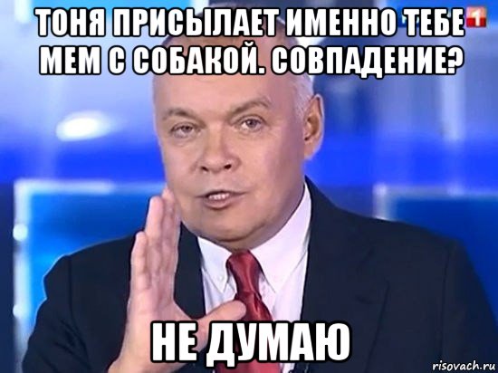 тоня присылает именно тебе мем с собакой. совпадение? не думаю, Мем Киселёв 2014